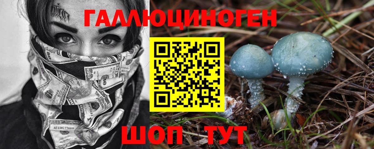 Пенза  Псилоцибиновые грибы Psilocybe  Вход с VPN 
