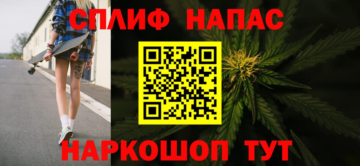 Каннабис ГИДРОПОН  Каннабис план  Пенза  Бошки Шишки тримм  Вход с VPN 